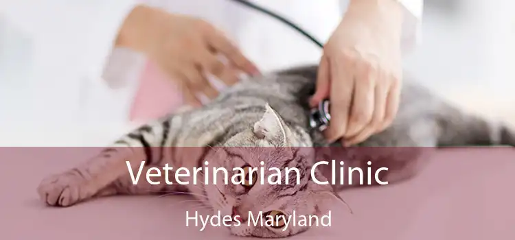 Veterinarian Clinic Hydes Maryland