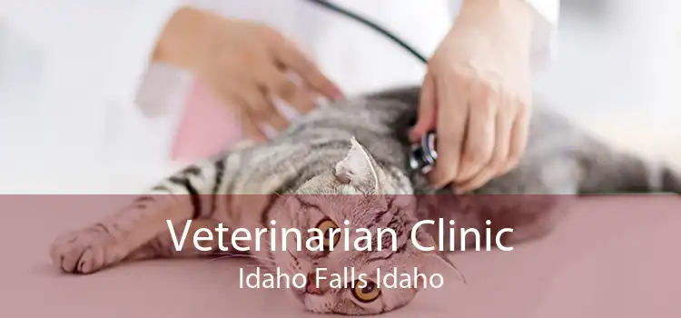 Veterinarian Clinic Idaho Falls Idaho