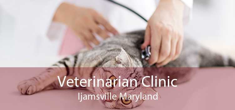 Veterinarian Clinic Ijamsville Maryland