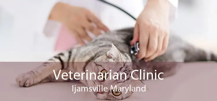 Veterinarian Clinic Ijamsville Maryland