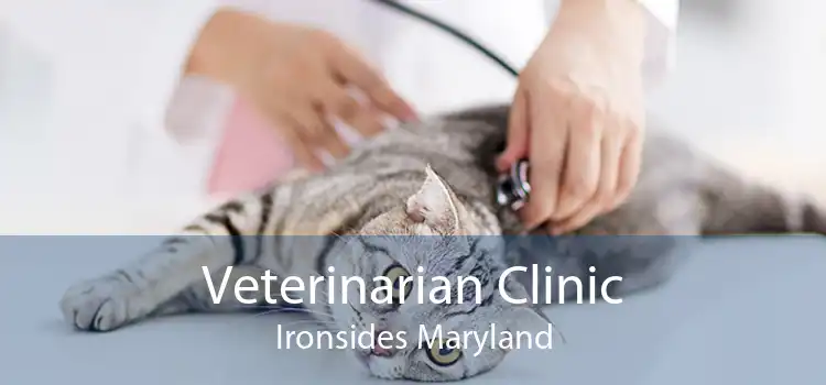 Veterinarian Clinic Ironsides Maryland