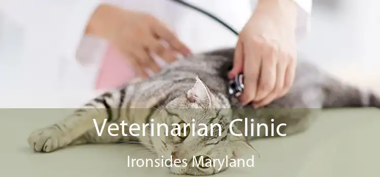 Veterinarian Clinic Ironsides Maryland