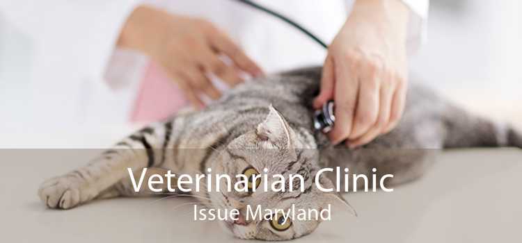 Veterinarian Clinic Issue Maryland
