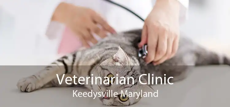 Veterinarian Clinic Keedysville Maryland