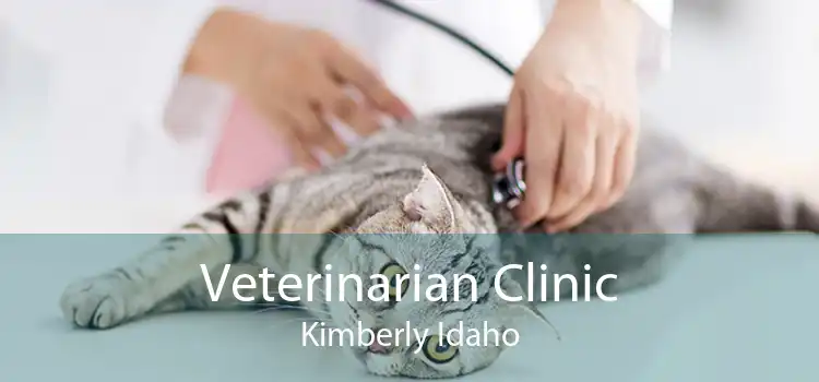 Veterinarian Clinic Kimberly Idaho