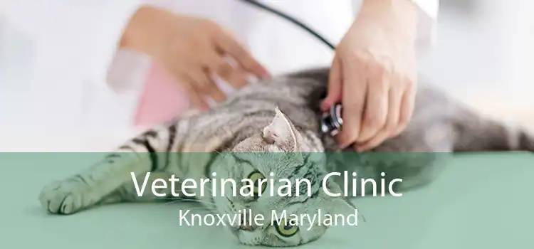 Veterinarian Clinic Knoxville Maryland