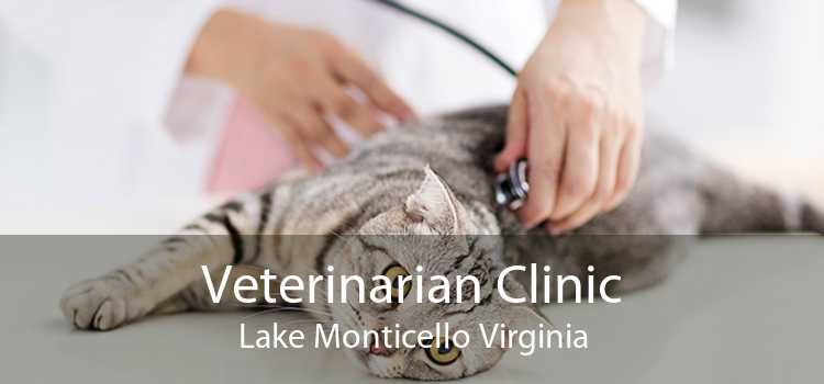 Veterinarian Clinic Lake Monticello Virginia