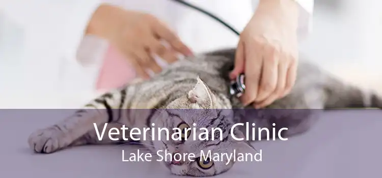 Veterinarian Clinic Lake Shore Maryland