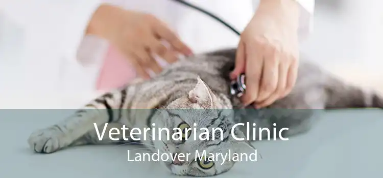 Veterinarian Clinic Landover Maryland