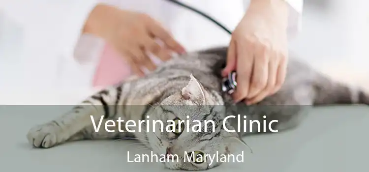 Veterinarian Clinic Lanham Maryland