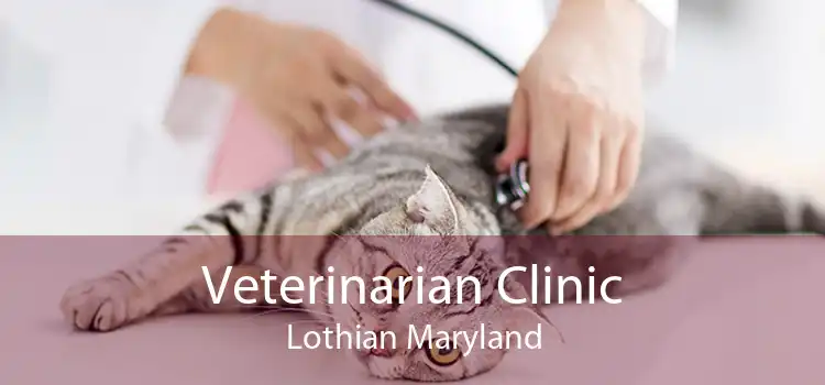 Veterinarian Clinic Lothian Maryland