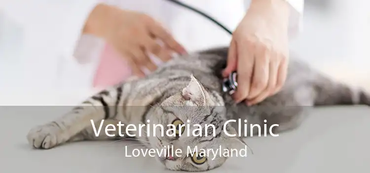 Veterinarian Clinic Loveville Maryland