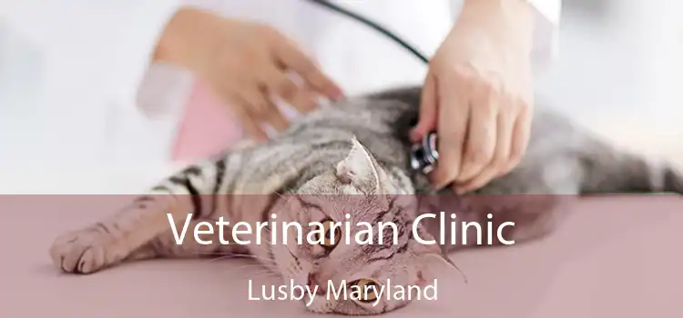 Veterinarian Clinic Lusby Maryland