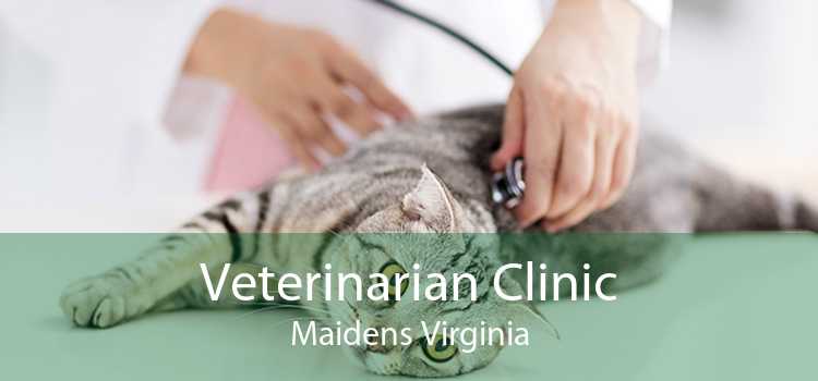 Veterinarian Clinic Maidens Virginia