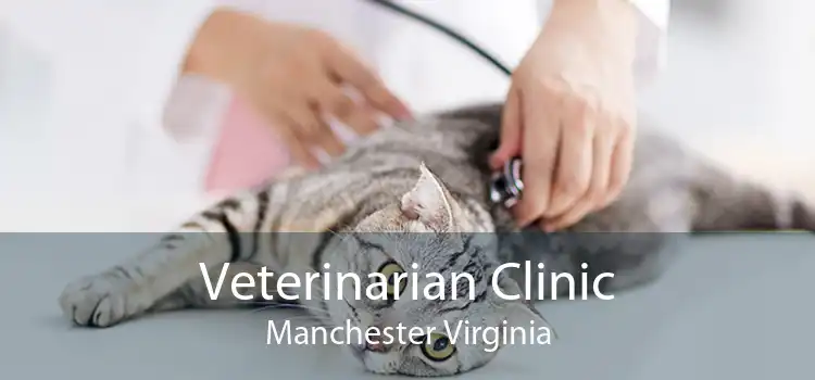 Veterinarian Clinic Manchester Virginia