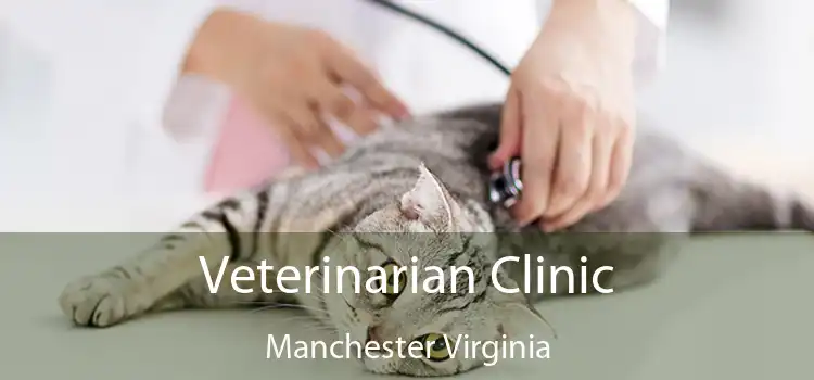 Veterinarian Clinic Manchester Virginia