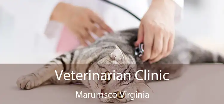 Veterinarian Clinic Marumsco Virginia