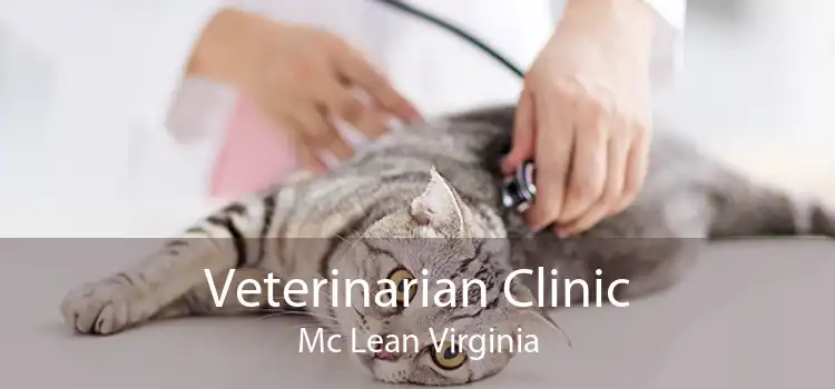 Veterinarian Clinic Mc Lean Virginia