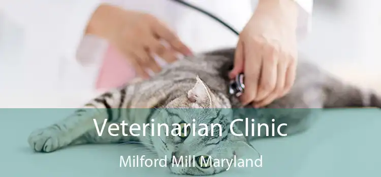 Veterinarian Clinic Milford Mill Maryland