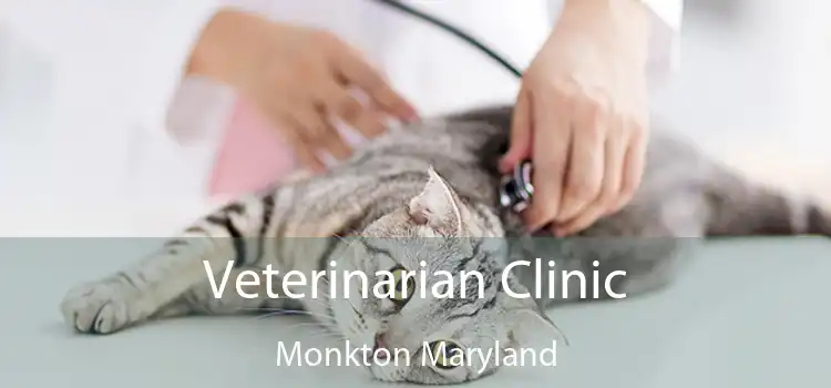 Veterinarian Clinic Monkton Maryland