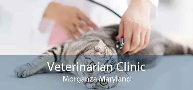 Veterinarian Clinic Morganza Maryland