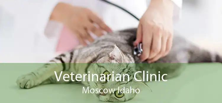 Veterinarian Clinic Moscow Idaho