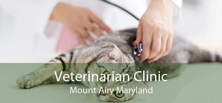 Veterinarian Clinic Mount Airy Maryland