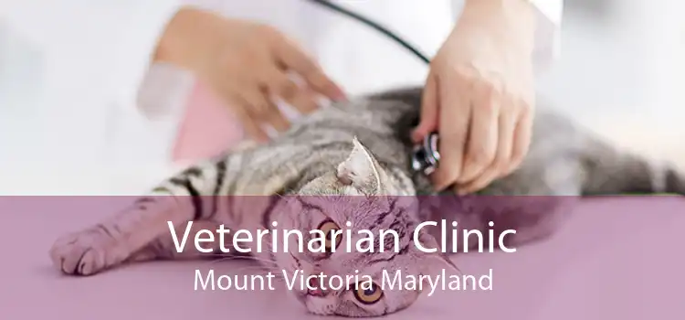Veterinarian Clinic Mount Victoria Maryland