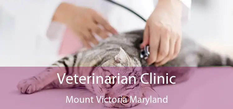 Veterinarian Clinic Mount Victoria Maryland