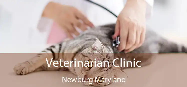 Veterinarian Clinic Newburg Maryland