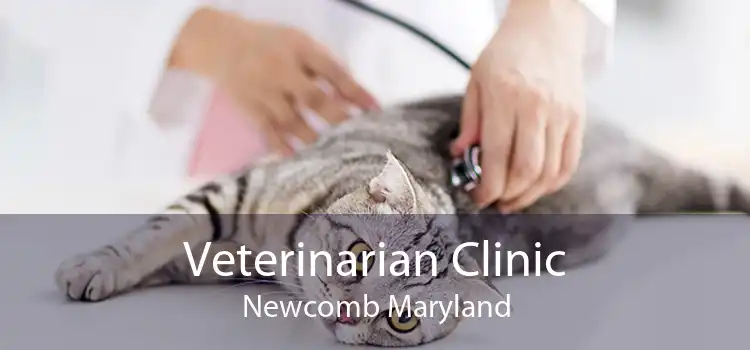 Veterinarian Clinic Newcomb Maryland