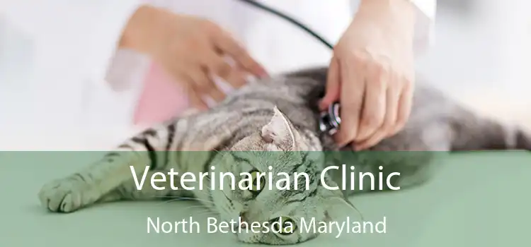 Veterinarian Clinic North Bethesda Maryland