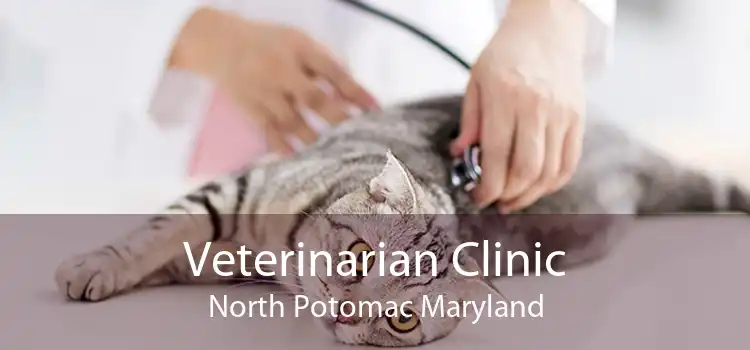 Veterinarian Clinic North Potomac Maryland