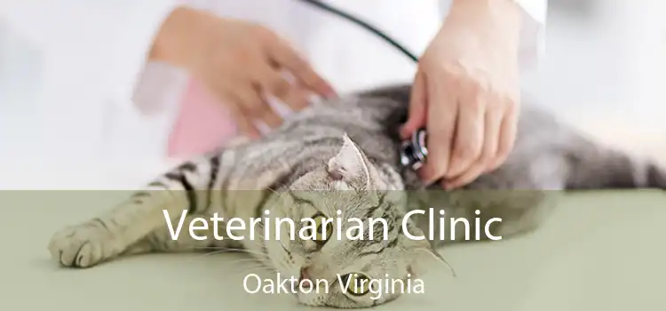 Veterinarian Clinic Oakton Virginia