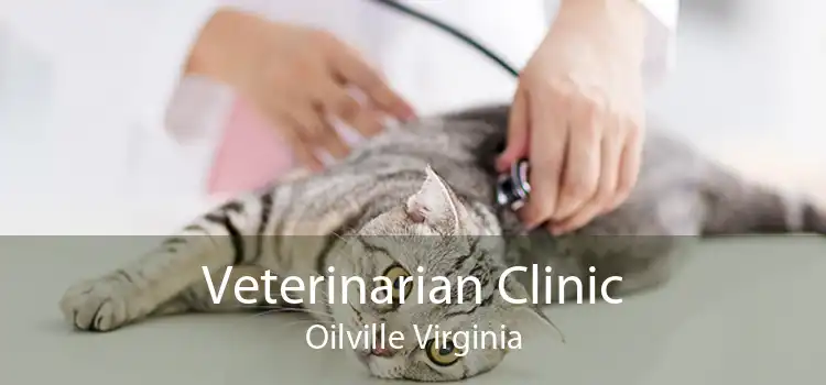 Veterinarian Clinic Oilville Virginia