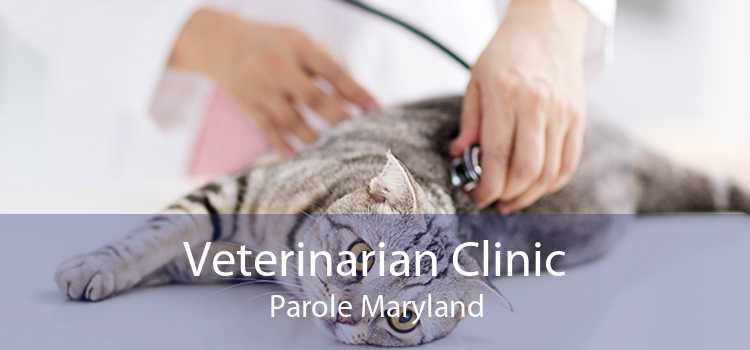 Veterinarian Clinic Parole Maryland