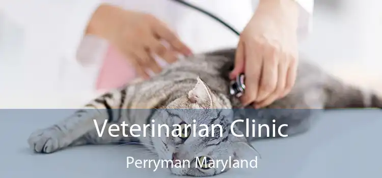 Veterinarian Clinic Perryman Maryland