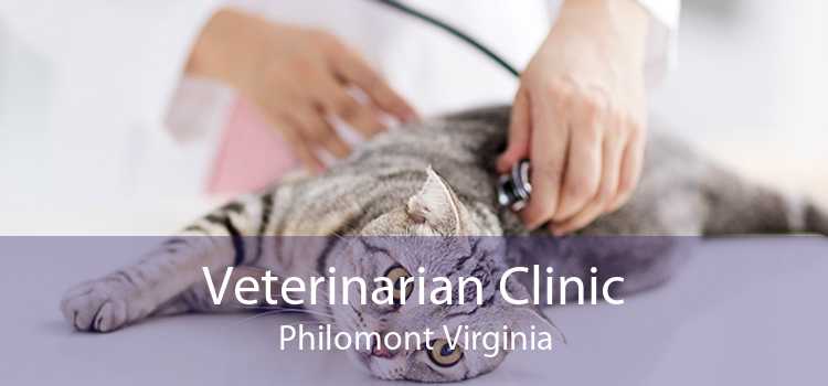 Veterinarian Clinic Philomont Virginia