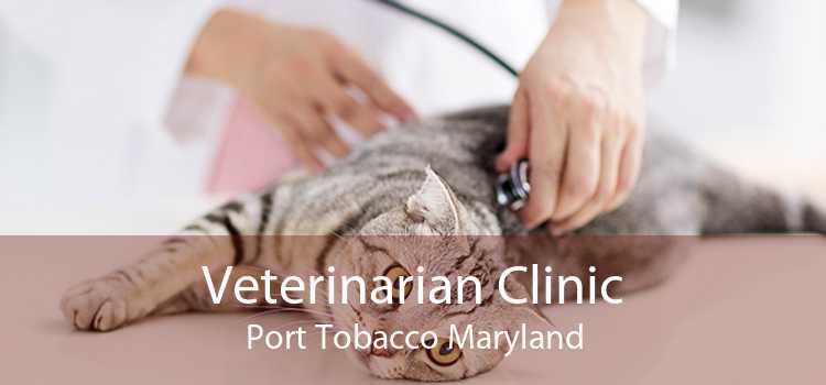 Veterinarian Clinic Port Tobacco Maryland