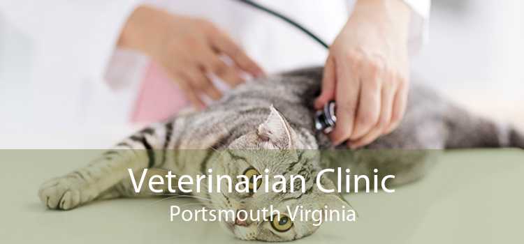 Veterinarian Clinic Portsmouth Virginia