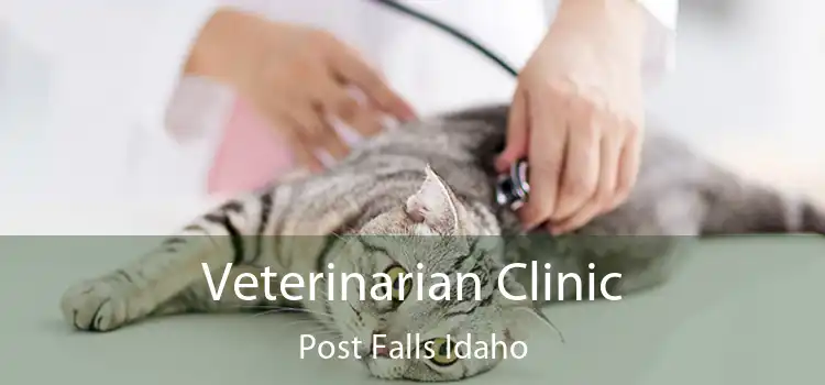 Veterinarian Clinic Post Falls Idaho