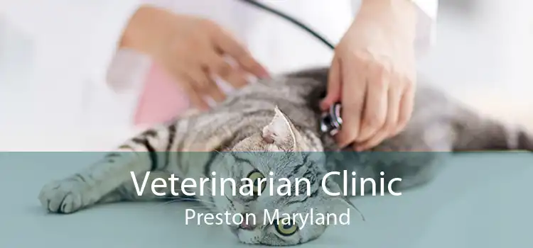 Veterinarian Clinic Preston Maryland
