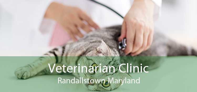 Veterinarian Clinic Randallstown Maryland