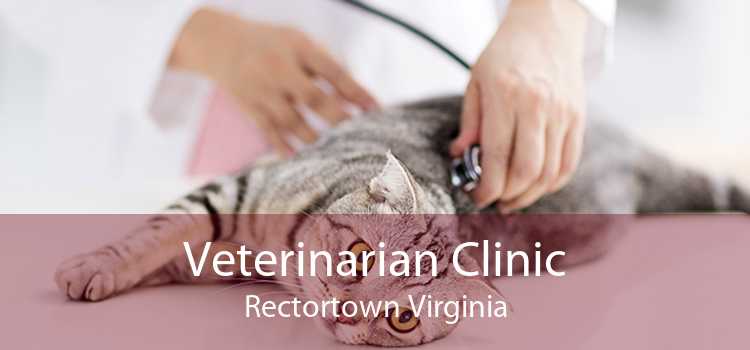 Veterinarian Clinic Rectortown Virginia