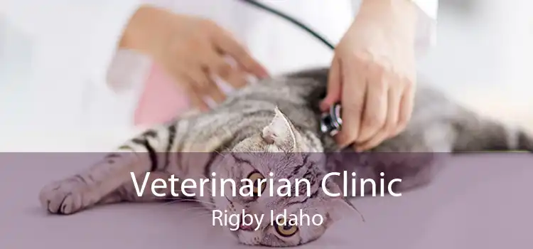 Veterinarian Clinic Rigby Idaho