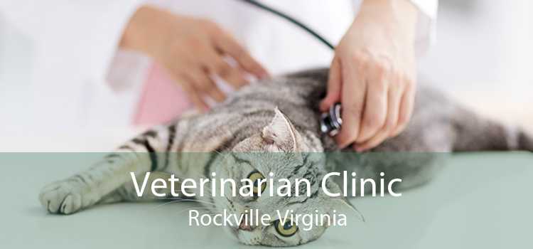 Veterinarian Clinic Rockville Virginia