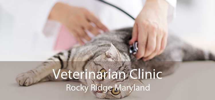 Veterinarian Clinic Rocky Ridge Maryland