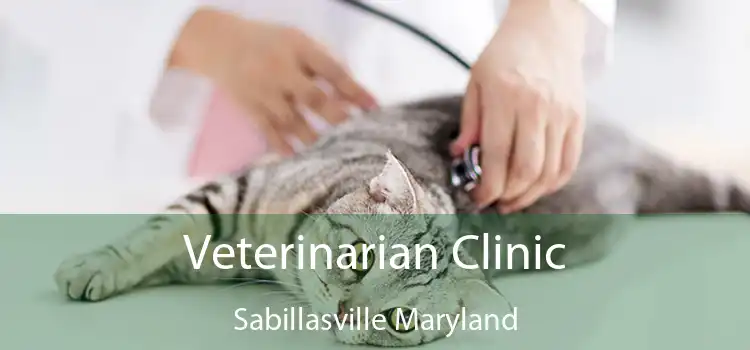 Veterinarian Clinic Sabillasville Maryland