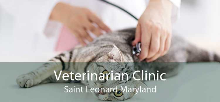 Veterinarian Clinic Saint Leonard Maryland