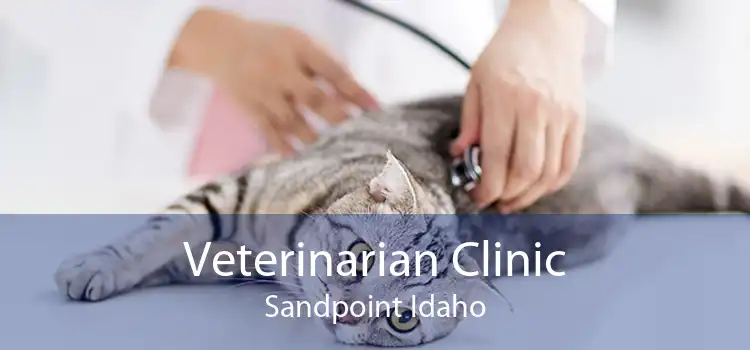 Veterinarian Clinic Sandpoint Idaho